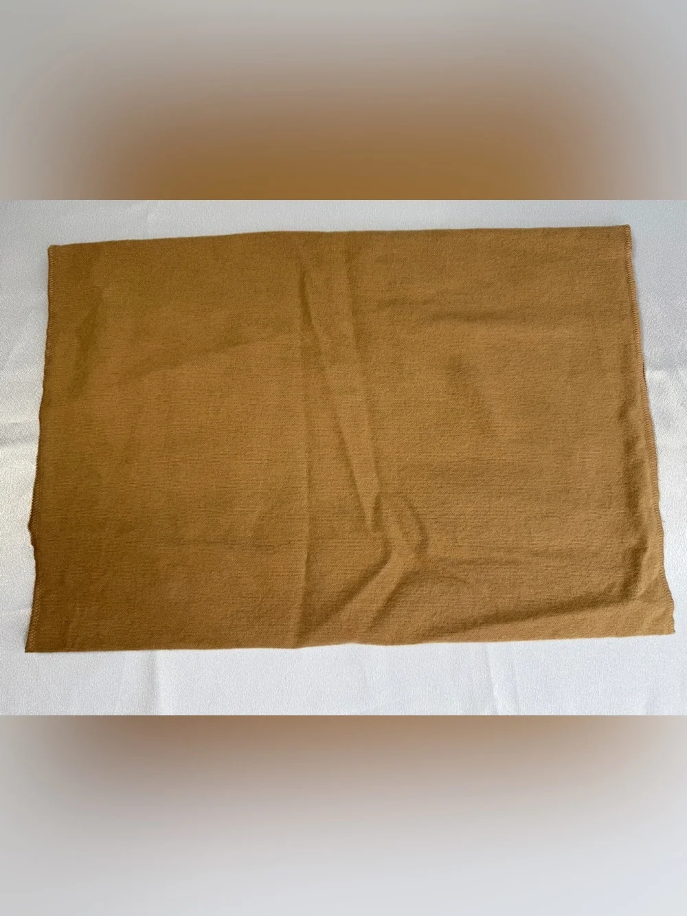 Louis Vuitton LV Brown Camel Envelope -style Dust Bag w/ the classic black LV